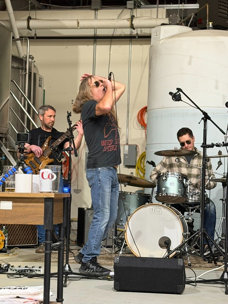 ROCKAD Live Performance 10